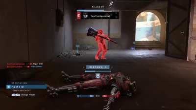 Spooder chief