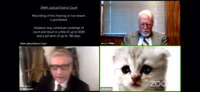 &ldquo;I&rsquo;m here live, I&rsquo;m not a cat,&rdquo; says lawyer after Zoom filter mishap