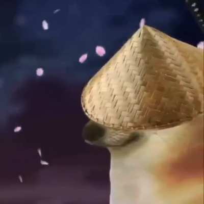 Emushnal sport part 2
