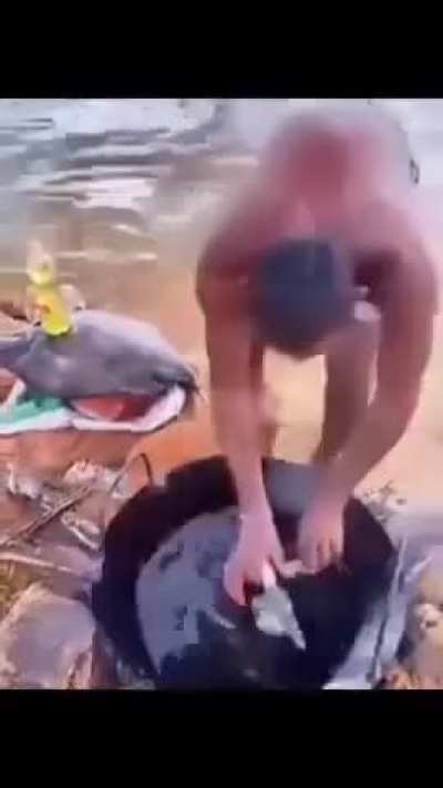Who wants fish