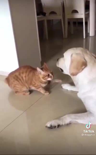 Just a nibble