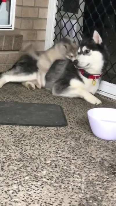 He’s a little bit clumsy