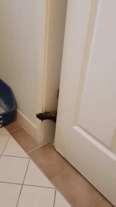 She opens sliding doors with her face
