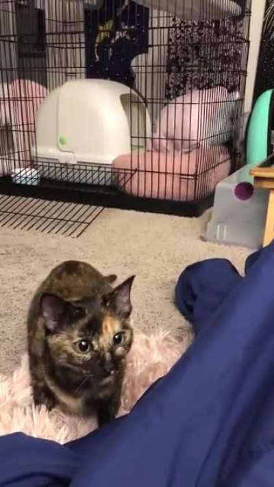 Wiggle attack
