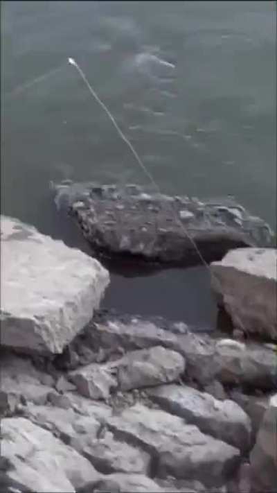 This person was fishing when they found a human foot.