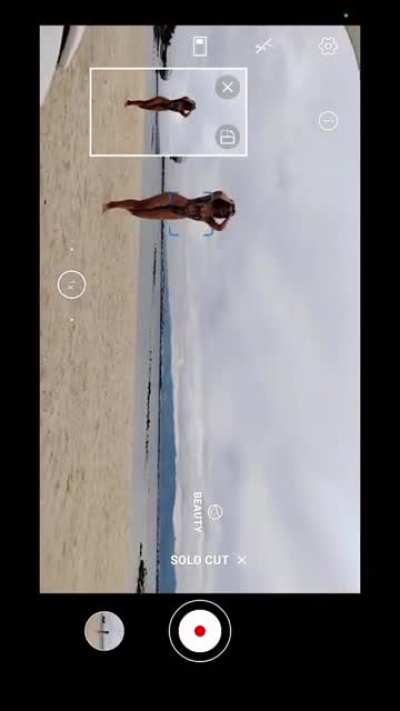 Max Collins