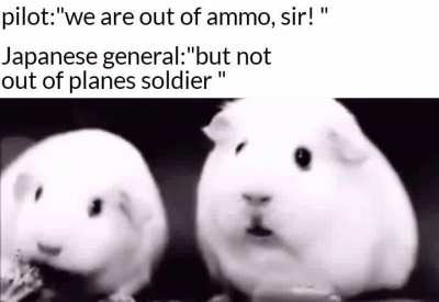 Something is wrong I can feel it