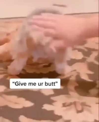 a new move.