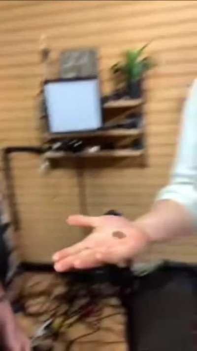 Magic trick time