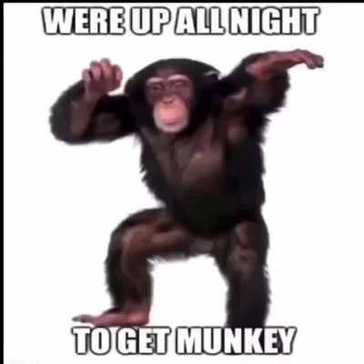 monke