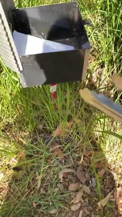 Checking the mailbox in Australia&acirc;&brvbar; (apologies for the poor video, my fight or flight kicked into gear)