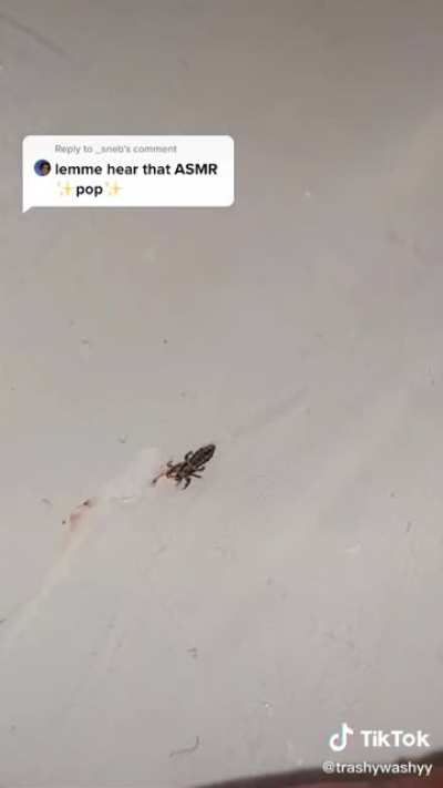I can't make this up🦞