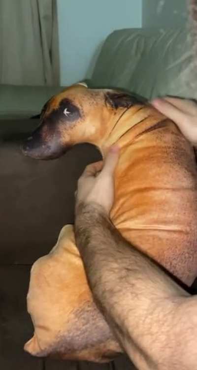 Datamoshed Bork irl