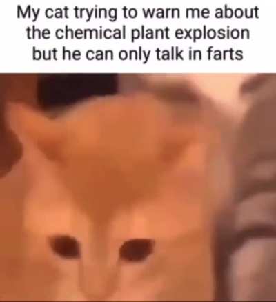 Understandable