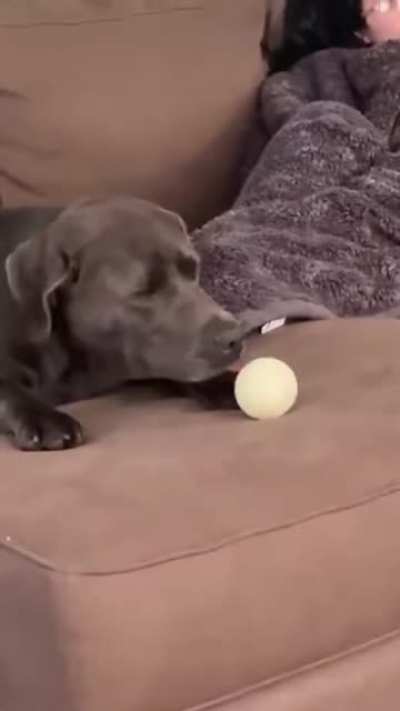 Too... tired