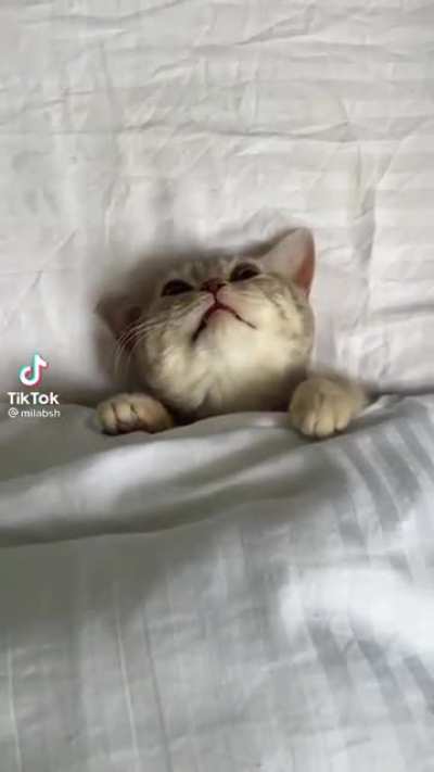 When your alarm goes off but you&rsquo;re too comfy to get up