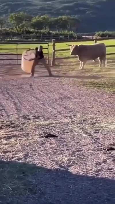 What in bovine appreciation of a typically canine form of recreation?!?