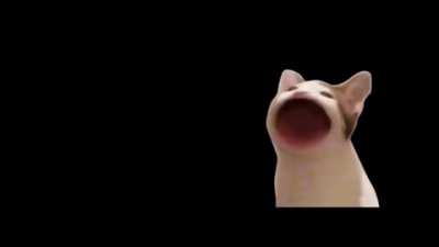 Msmdkjdndm robado 76