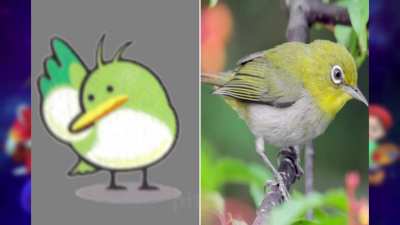 Kirby characters in real life