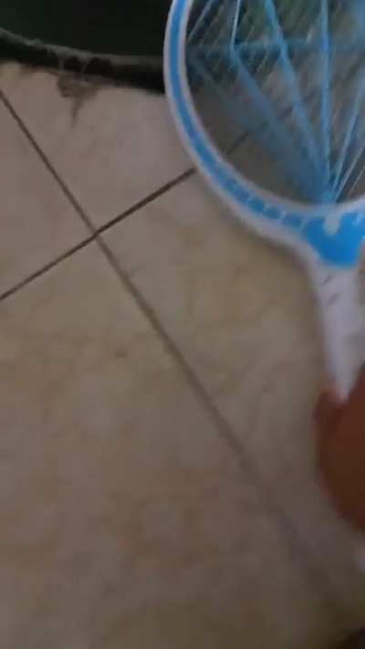 Me vs Spider