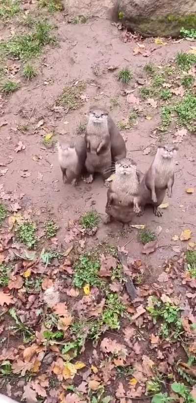 "C'mon guys, pose for the camera!"