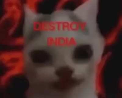 🗿