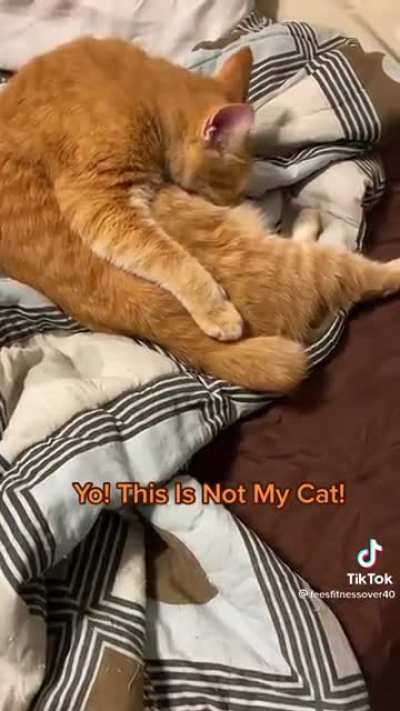 It's a sleepover mom
