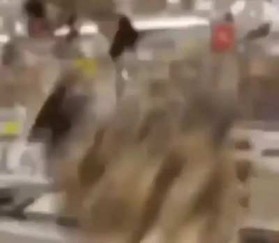 Un simple gato con aud&iacute;fonos