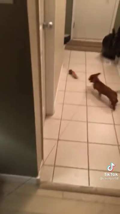 Legend says he&rsquo;s still running