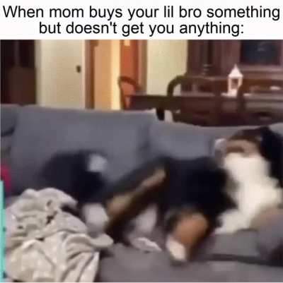 This clip is fuckin' priceless