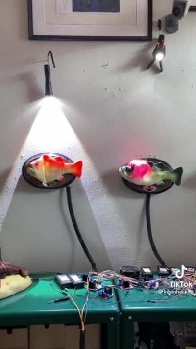 Live concerts in your home, with fish