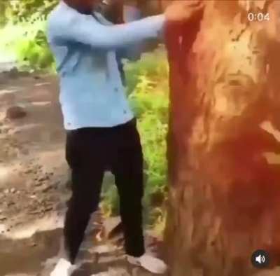 Feel bad for him