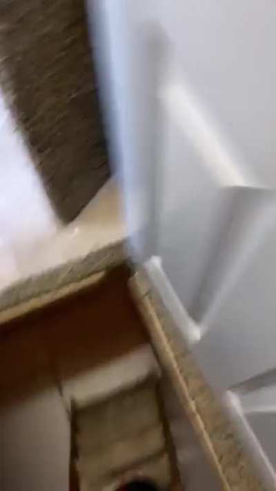 Old house owners used to grow now it’s just a sweet sesh spot