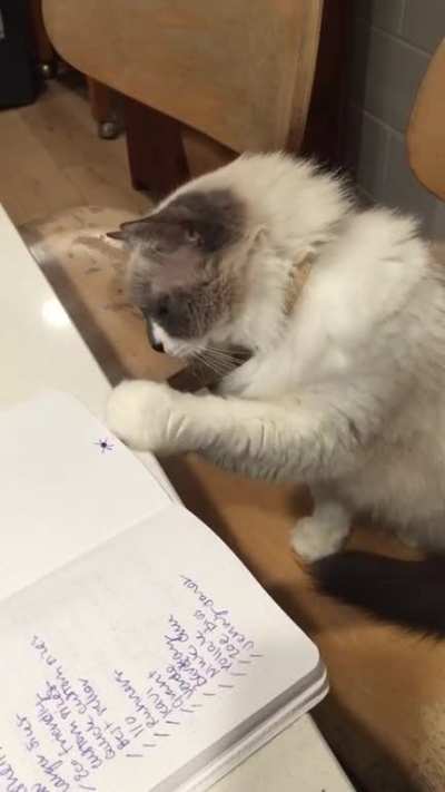 I always make sure to draw spiders when my work is being supervised by John