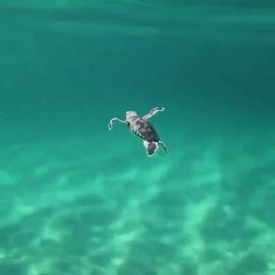 cute depth below ❤️