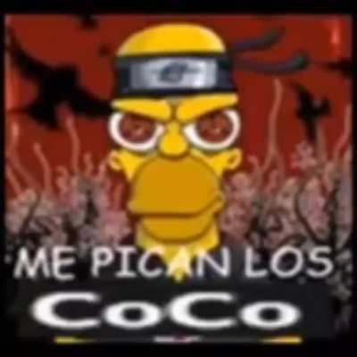 Xd