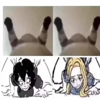 Heil spez