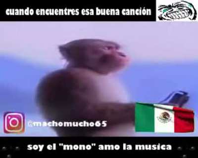 INSTAGRAM mono c&oacute;mico sony escucha m&uacute;sica