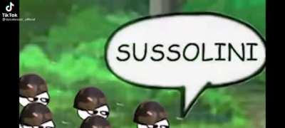 sus