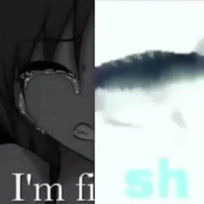 I'm fi
