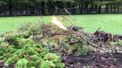 Bonfire Begins