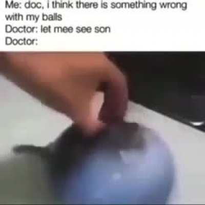 Eu: doutor tem algo errado com meus ovo doutor: deixe-me ver filho *credits to u/feelsbadmansmh*