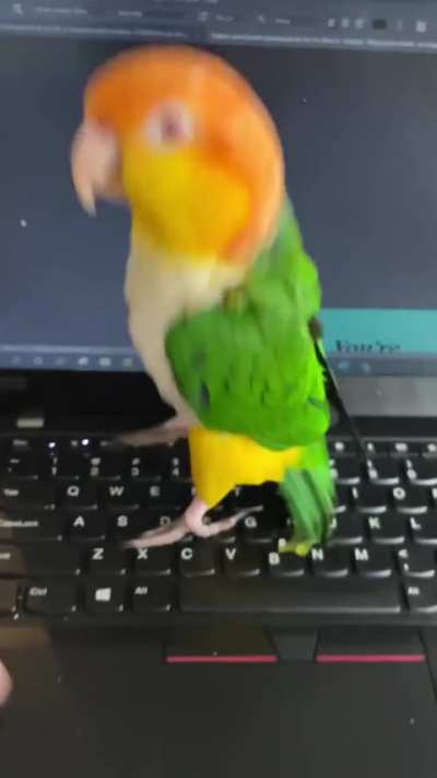 "Look, I can type faster than you"