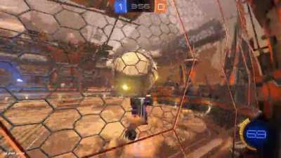 Mom get the camera!