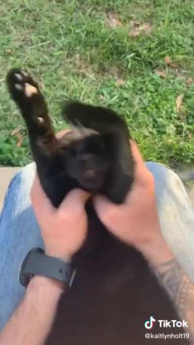 The dance of his people