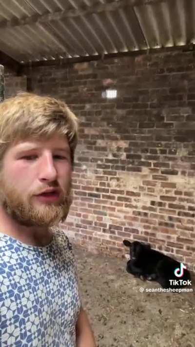 Wait for the end, otherwise it won&rsquo;t sense
