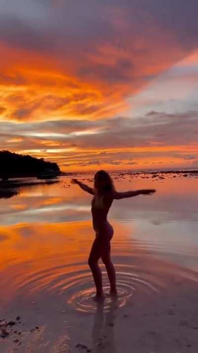 Shantel Van Santen