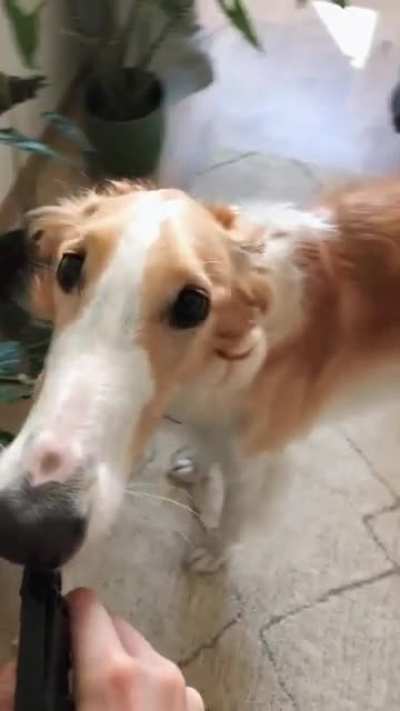 bebam &aacute;gua
