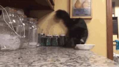 Catculating the exact point when the bowl will be off balance &amp;amp; fall off the counter