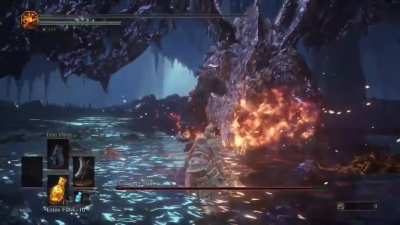 So I decided to make a small montage out of my deaths against midir...